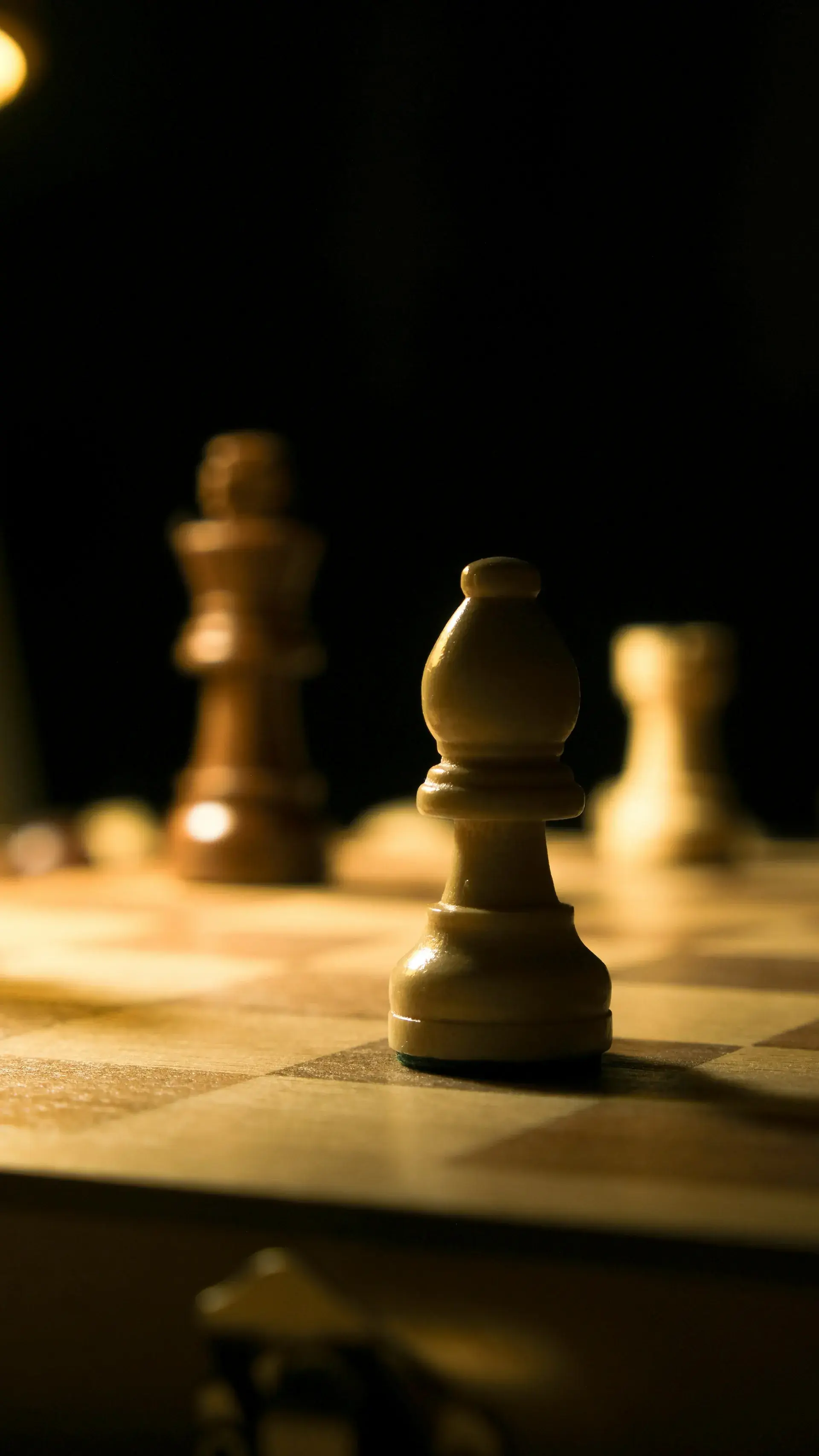 Business founders planning entity structure